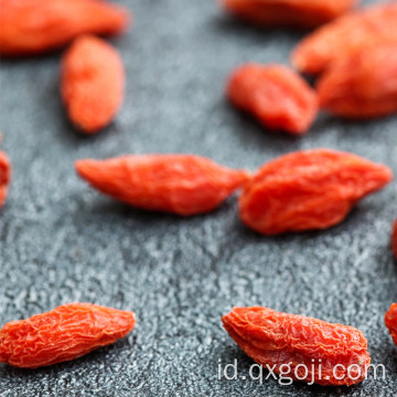 Fresh Organic goji berries wolfberries kering untuk dijual